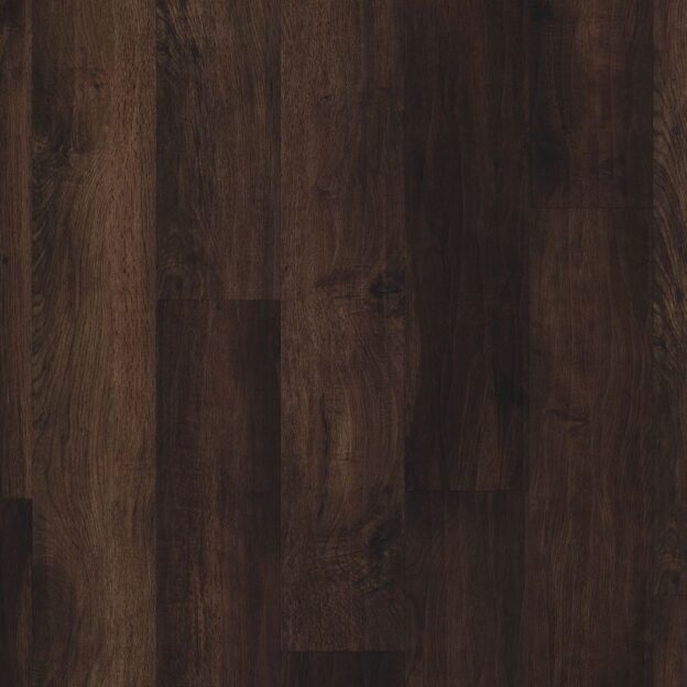 Winter Oak RL04 | Karndean Art Select Overhead | Best at Flooring