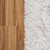 Carpet next to wooden floor
