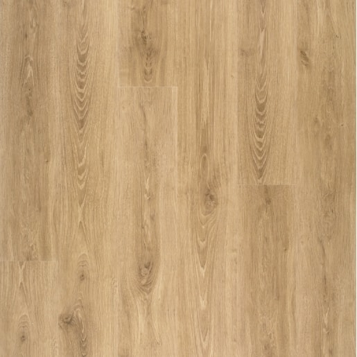 Rustic Oak Elv281 Elka 8mm Laminate, Rustic Oak Wood Laminate Flooring