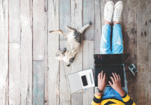 Person sitting with laptop and working at home with their cat on a floor with wide planks