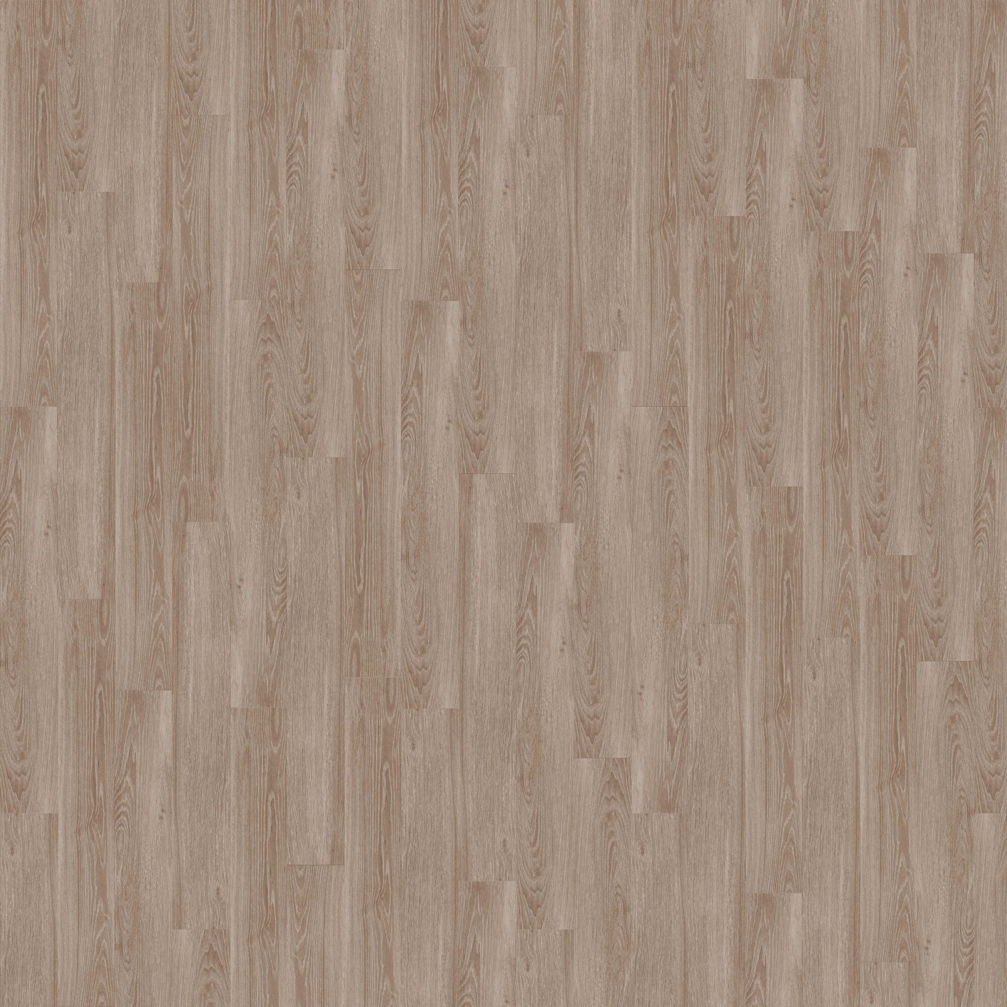 French Oak Almond Invictus Maximus, Almond Oak Laminate Flooring