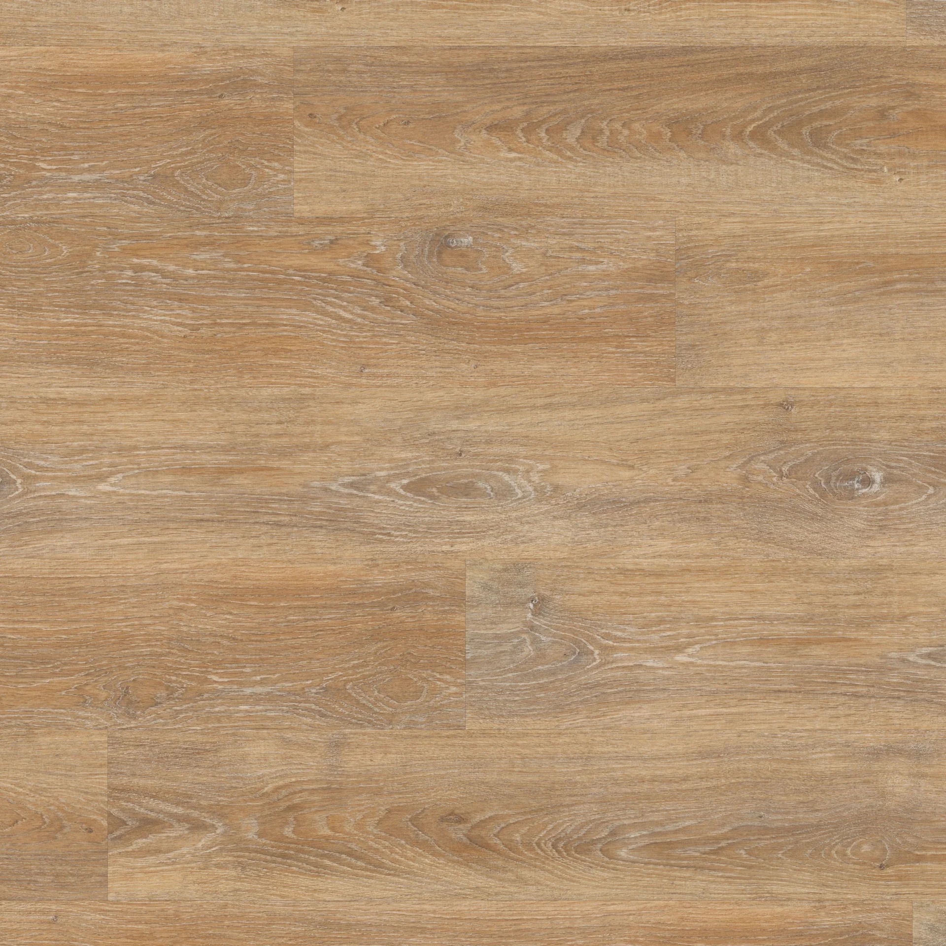 Top shot of Palio Montieri flooring