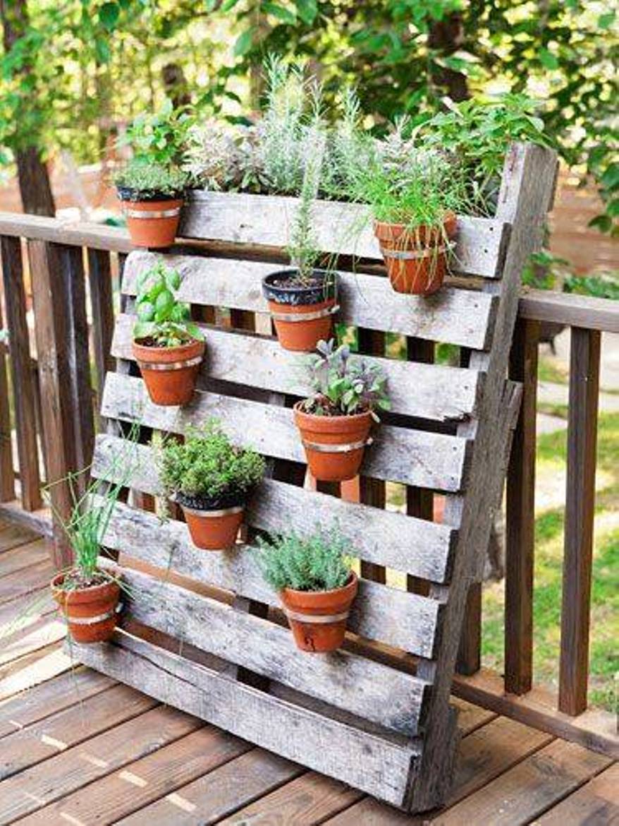 wooden pallet with plant pots