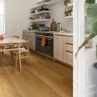 Kitchen setting