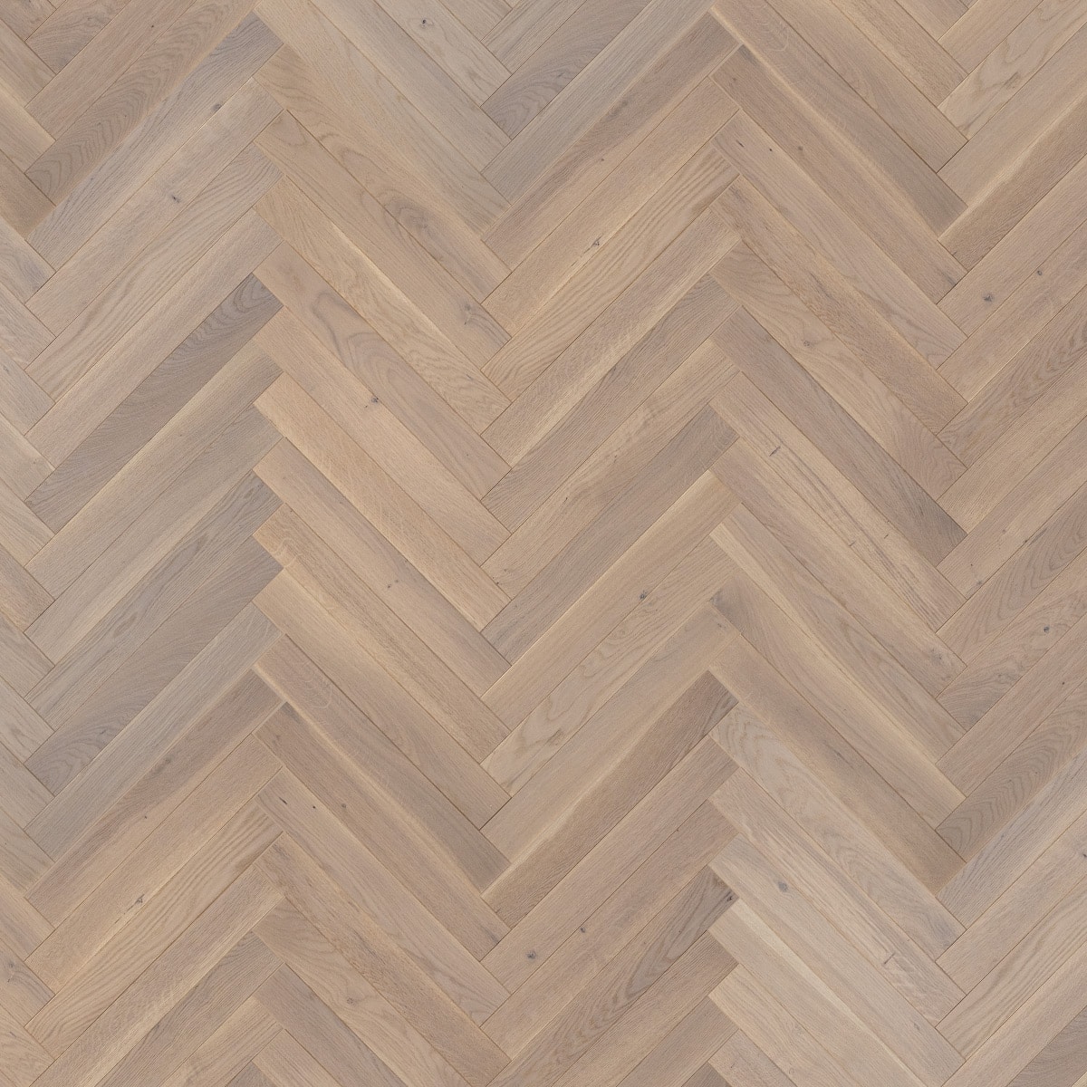 TH109 Seashell Strip Herringbone - Image 3