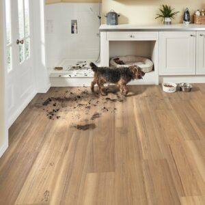 Palio Express Korlok Weathered Spotted Gum in a kitchen