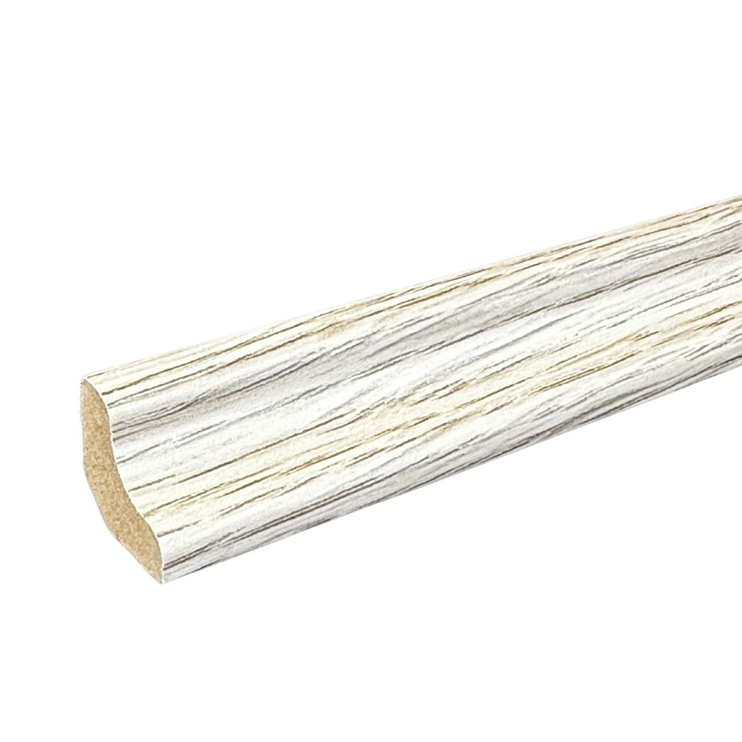 SC823 (Mushroom)