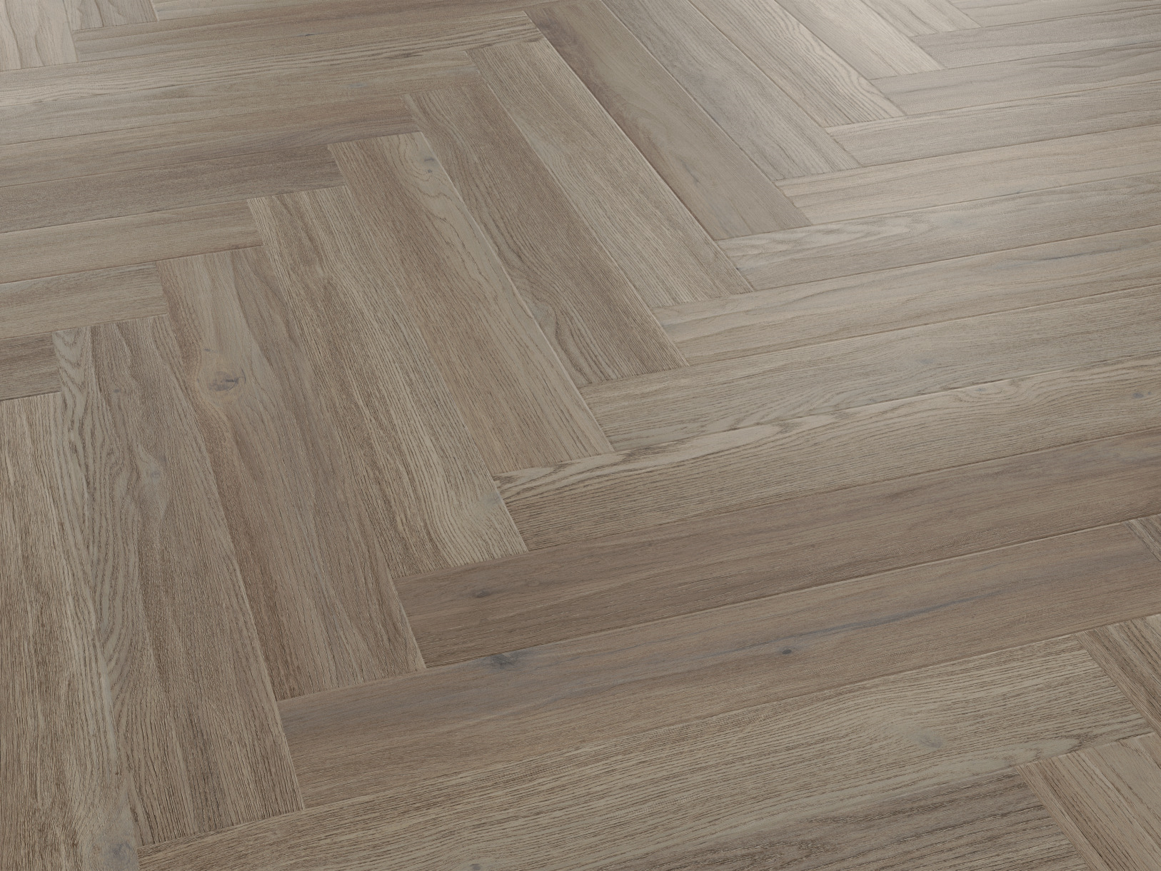 Bellota Oak SM-RL27 - Image 3