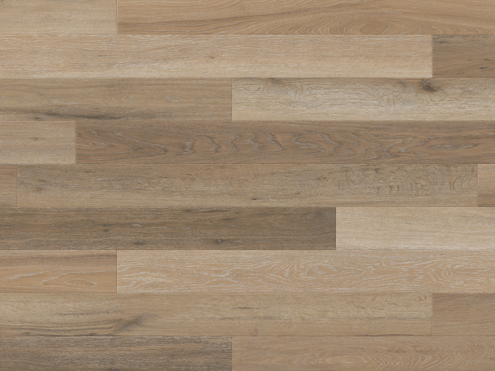Canterbury Ash RL41 - Image 5