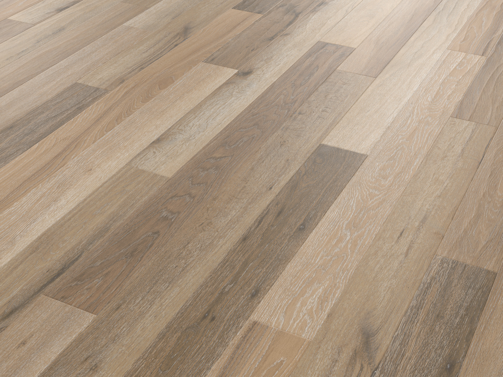 Canterbury Ash RL41 - Image 4