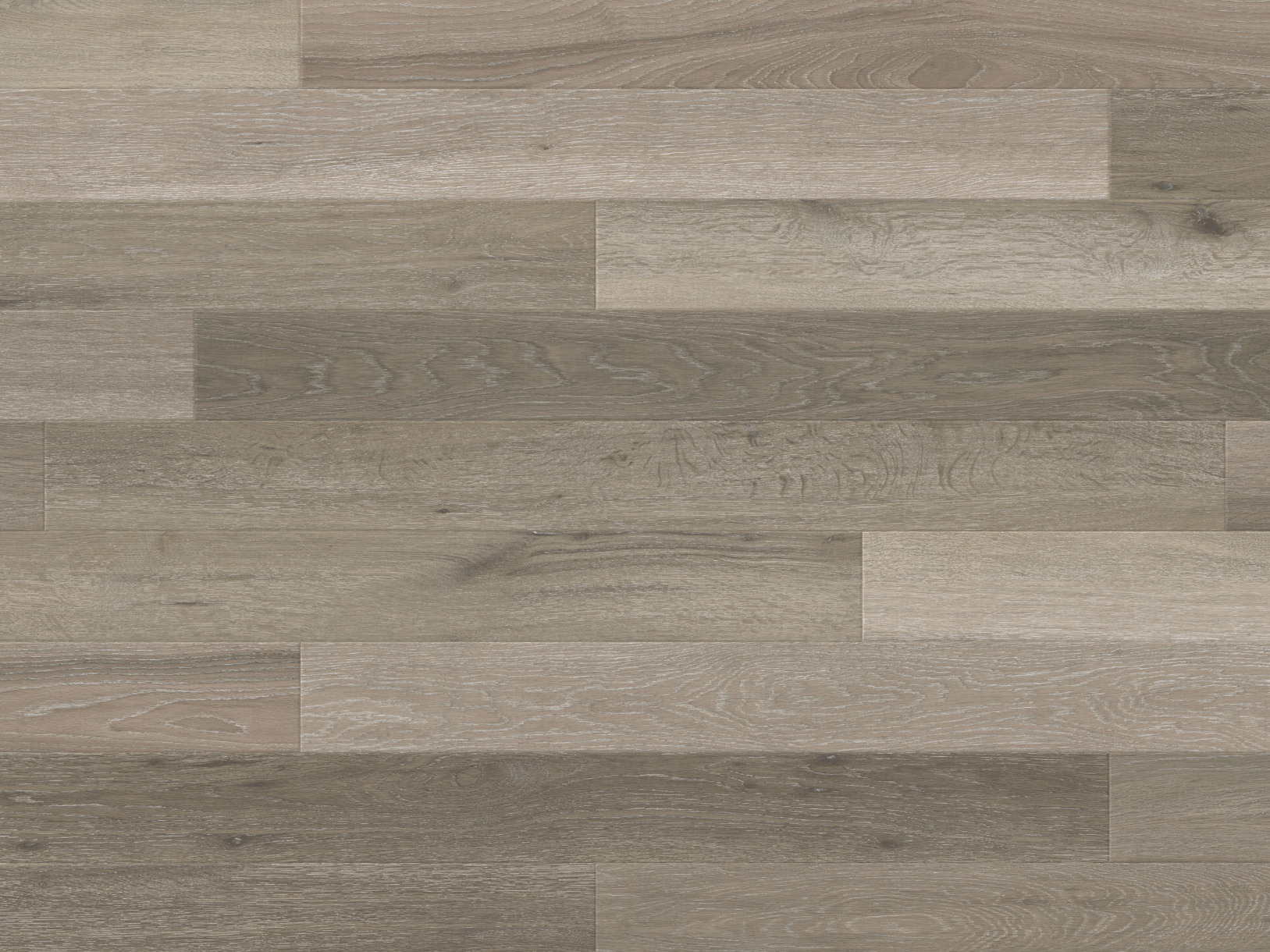 Image of Castle Hill Ash RL39 Flooring