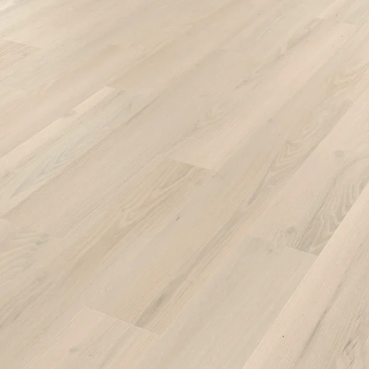 Norfolk Acacia KP159