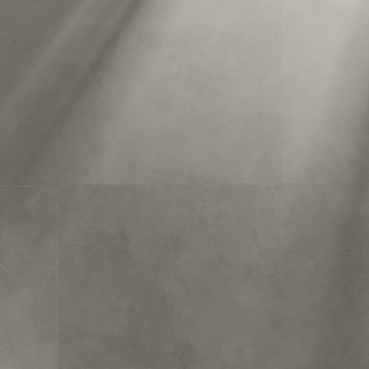 Oyster - Image 6