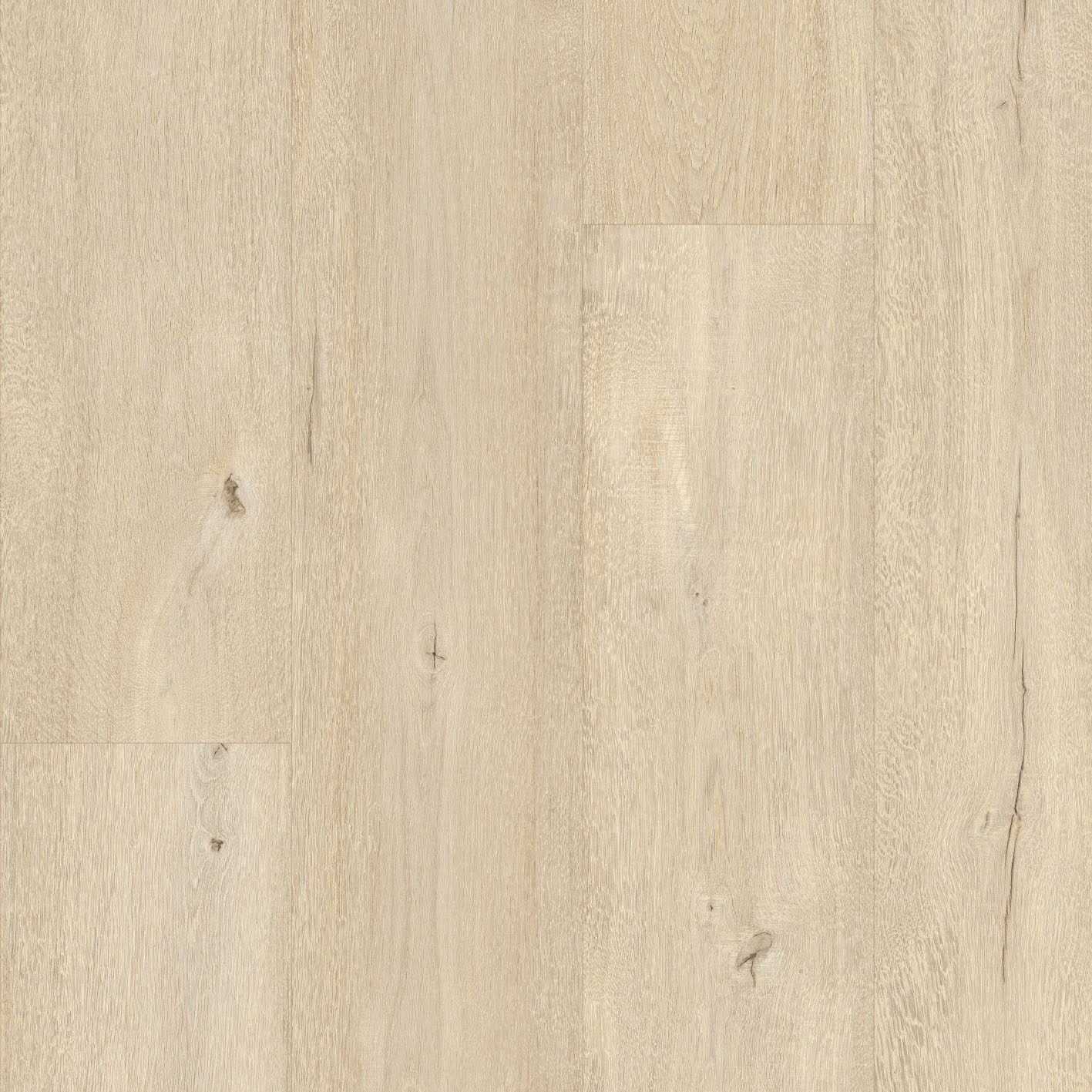 Parmesan - Image 6