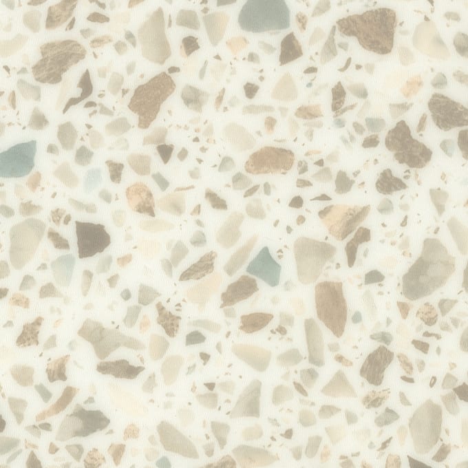 Paloma - Image 2