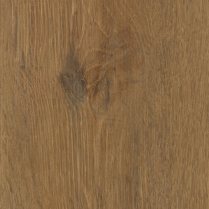Brewer Oak - Image 4