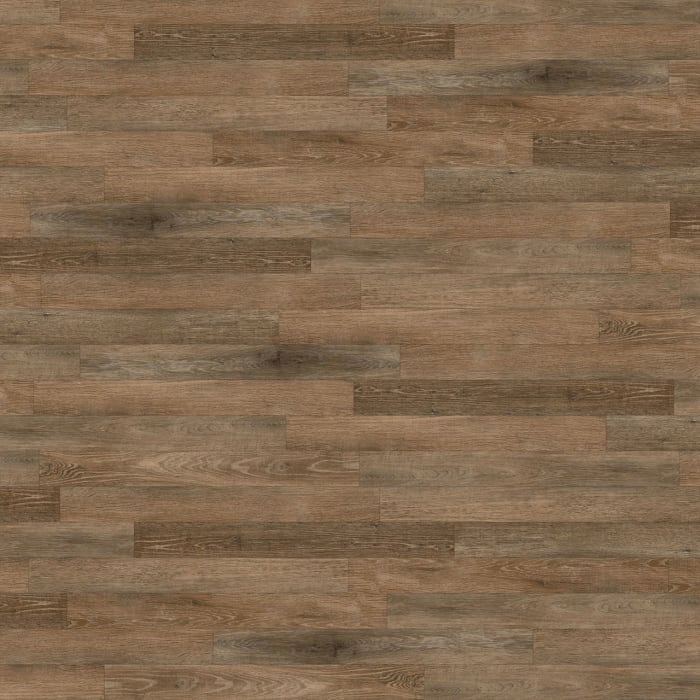 Noble Oak - Image 3