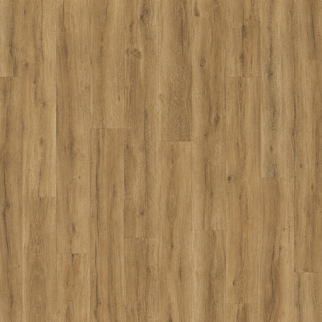 Windsor Oak - Image 2