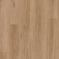 Blackjack Oak 22450