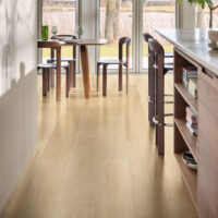 Haarlemmer Oak 64249