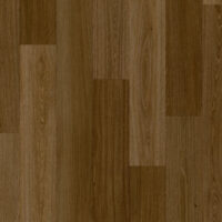 Haarlemmer Oak 64865