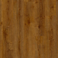 Stanford Oak 65861